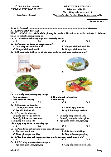 Đề kiểm tra giữa kì I Công nghệ 10 - Mã đề 102 - Trường THPT Ngô Sĩ Liên (Có đáp án + Ma trận)