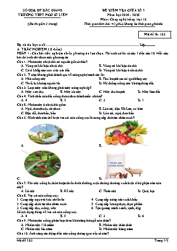 Đề kiểm tra giữa kì I Công nghệ 10 - Mã đề 103 - Trường THPT Ngô Sĩ Liên (Có đáp án + Ma trận)
