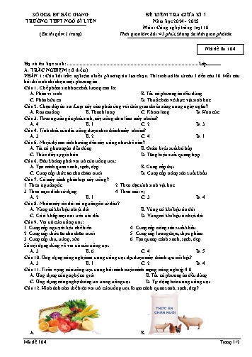Đề kiểm tra giữa kì I Công nghệ 10 - Mã đề 104 - Trường THPT Ngô Sĩ Liên (Có đáp án + Ma trận)