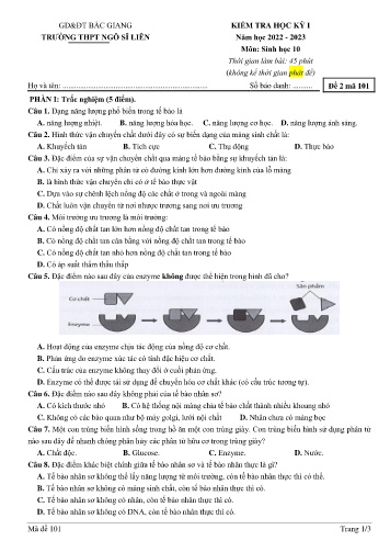 Đề kiểm tra học kì I Sinh học 10 - Mã đề 101 - Năm học 2022-2023 - Trường THPT Ngô Sĩ Liên