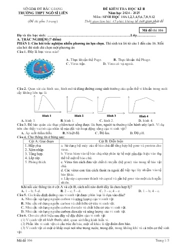 Đề kiểm tra học kì II Sinh học 10 - Mã đề 106 - Năm học 2024-2025 - Trường THPT Ngô Sĩ Liên (Có đáp án + Ma trận)