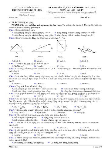 Đề thi giữa học kì I Vật lí 10 - Mã đề 201 - Năm học 2024-2025 - Trường THPT Ngô Sĩ Liên (Có đáp án + Ma trận)