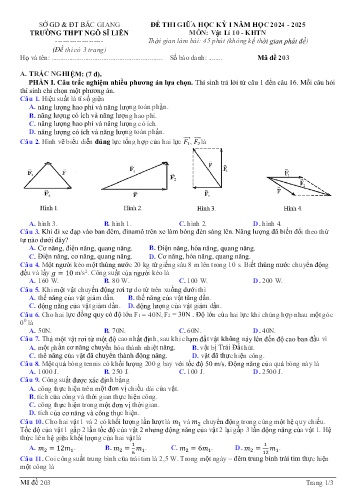 Đề thi giữa học kì I Vật lí 10 - Mã đề 203 - Năm học 2024-2025 - Trường THPT Ngô Sĩ Liên (Có đáp án + Ma trận)