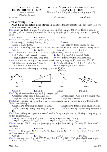 Đề thi giữa học kì I Vật lí 10 - Mã đề 302 - Năm học 2024-2025 - Trường THPT Ngô Sĩ Liên (Có đáp án + Ma trận)