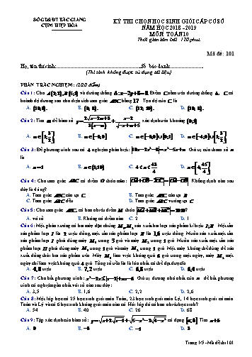 Đề thi HSG cấp Sở Toán 10 - Mã đề 101 - Năm học 2018-2019 - Sở GD&ĐT Bắc Giang (Có đáp án)