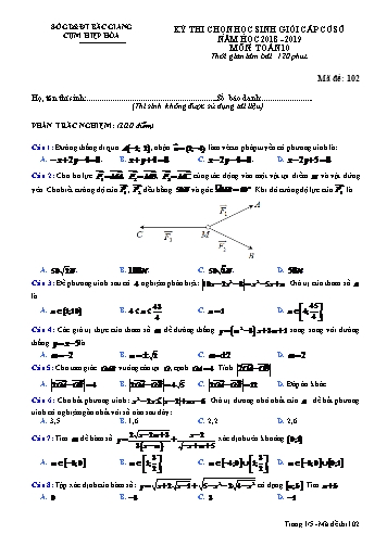 Đề thi HSG cấp Sở Toán 10 - Mã đề 102 - Năm học 2018-2019 - Sở GD&ĐT Bắc Giang (Có đáp án)