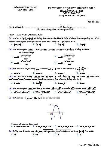 Đề thi HSG cấp Sở Toán 10 - Mã đề 103 - Năm học 2018-2019 - Sở GD&ĐT Bắc Giang (Có đáp án)