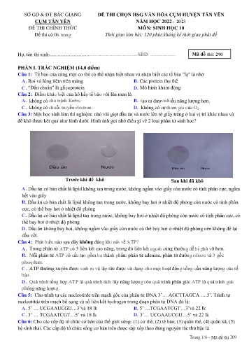 Đề thi HSG văn hóa cụm Huyện Tân Yên Sinh học 10 - Mã đề 290 - Năm học 2022-2023 - Sở GD&ĐT Bắc Giang