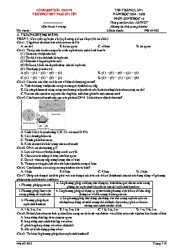 Đề thi tháng Sinh học 10 (Lần 1) - Mã đề 402 - Năm học 2024-2025 - Trường THPT Ngô Sĩ Liên (Có đáp án + Ma trận)