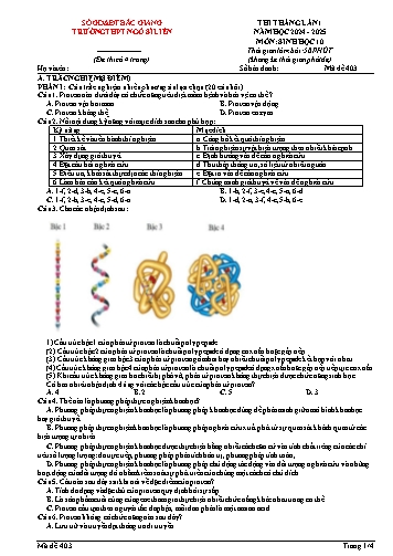 Đề thi tháng Sinh học 10 (Lần 1) - Mã đề 403 - Năm học 2024-2025 - Trường THPT Ngô Sĩ Liên (Có đáp án + Ma trận)