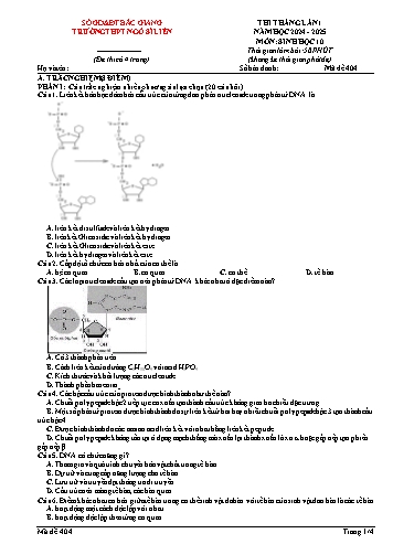 Đề thi tháng Sinh học 10 (Lần 1) - Mã đề 404 - Năm học 2024-2025 - Trường THPT Ngô Sĩ Liên (Có đáp án + Ma trận)