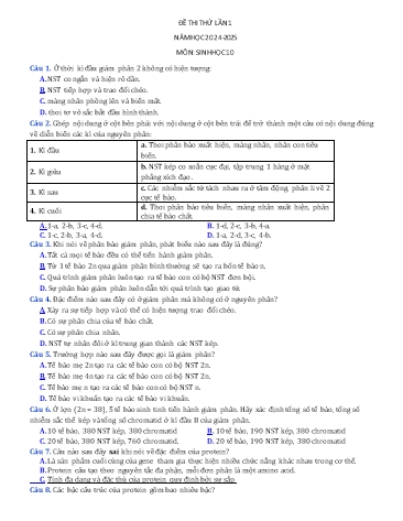 Đề thi thử Sinh học Lớp 10 (Lần 1) - Năm học 2024-2025 (Có đáp án)