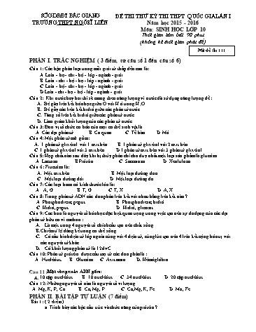 Đề thi thử THPT QG Sinh học 10 (Lần 1) - Mã đề 111 - Năm học 2015-2016 - Trường THPT Ngô Sĩ Liên (Có đáp án)