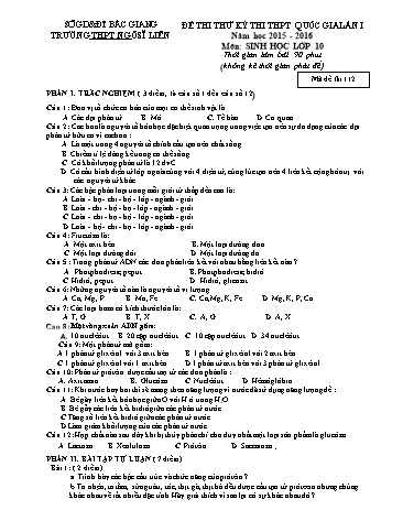 Đề thi thử THPT QG Sinh học 10 (Lần 1) - Mã đề 112 - Năm học 2015-2016 - Trường THPT Ngô Sĩ Liên (Có đáp án)