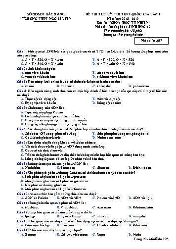 Đề thi thử THPT QG Sinh học 10 (Lần 1) - Mã đề 357 - Năm học 2018-2019 - Trường THPT Ngô Sĩ Liên (Có đáp án + Ma trận)