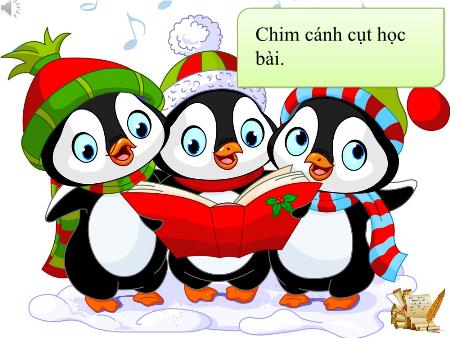 Silde Powerpint Trò chơi Chim cách cụt học bài