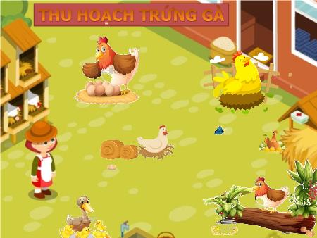 Silde Powerpint Trò chơi Thu hoạch trứng gà